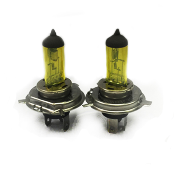H4      24V